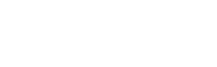 WMD Logo - 3